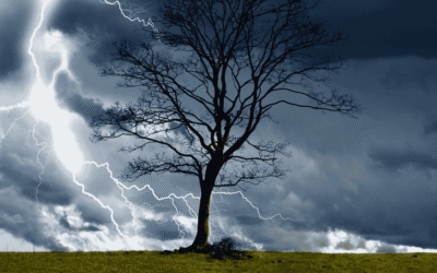 Finding Your Authentic Voice in a Deconstructed World